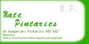 mate pintarics business card